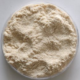 木粉羞羞麻豆国产精品1区2区3区